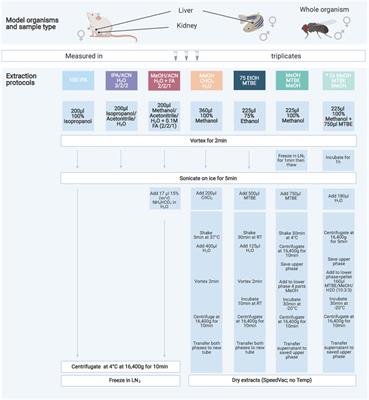 Deep Metabolic Profiling Assessment of Tissue Extraction Protocols for Three Model Organisms